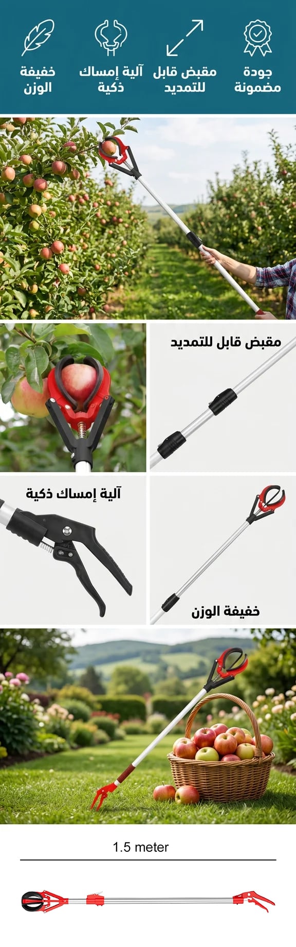 أداة قطف الفاكهة بمقبض قابل للتمديد - صورة توضيحية