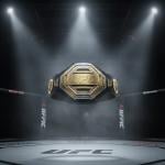 Champion UFC Style Belt - 8