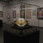 Champion UFC Style Belt - 12