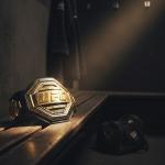 Champion UFC Style Belt - 9