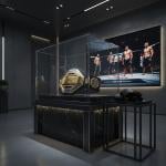 Champion UFC Style Belt - 11