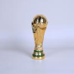 كأس العالم الذهبي بإصدار احترافي - 7