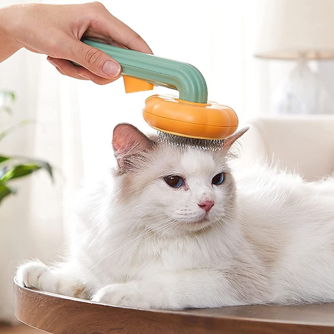 Pet Hair Remover Brush product thumbnail 18