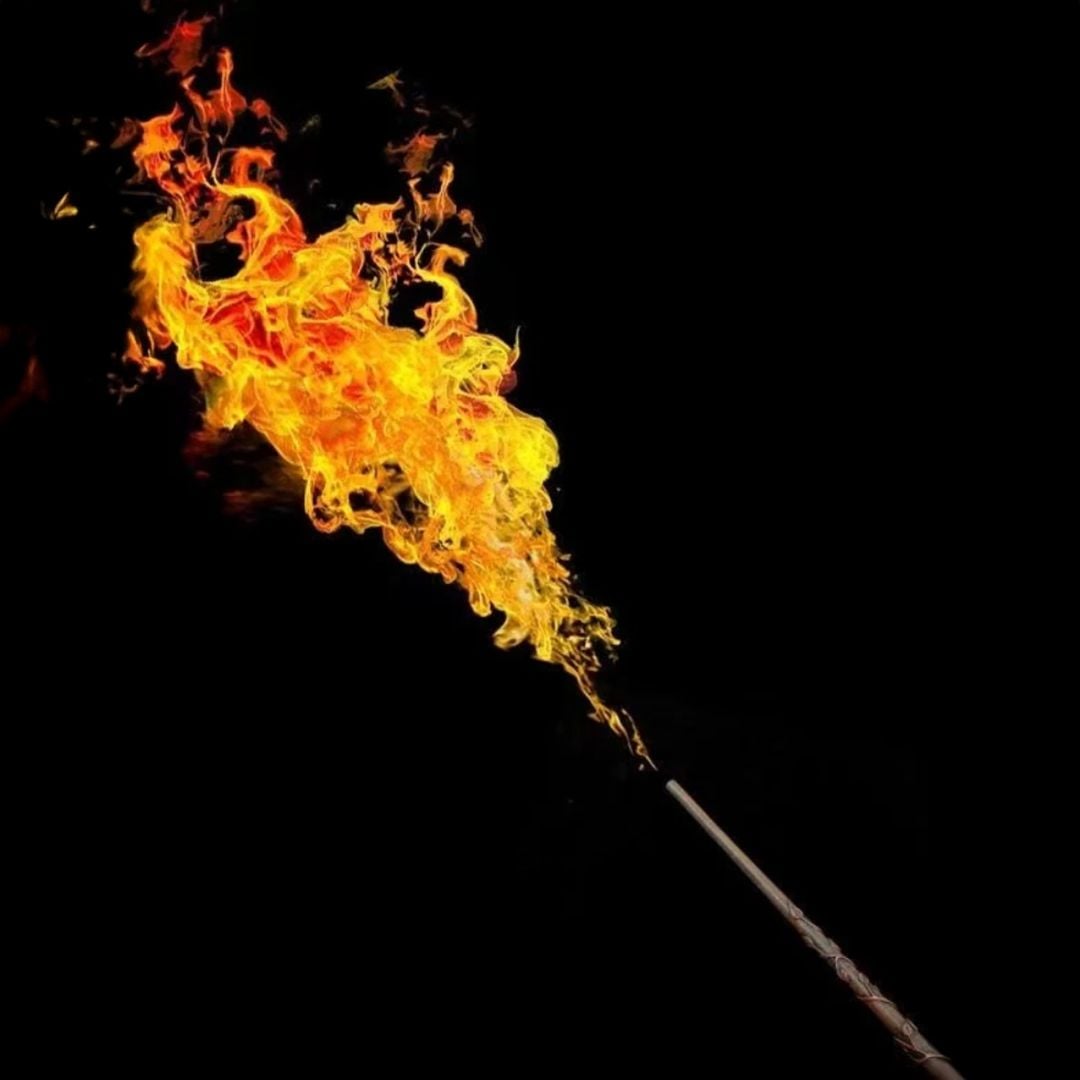 عصا هاري بوتر السحرية - 5