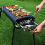 باربيكيو و منقل للنزهات - 2