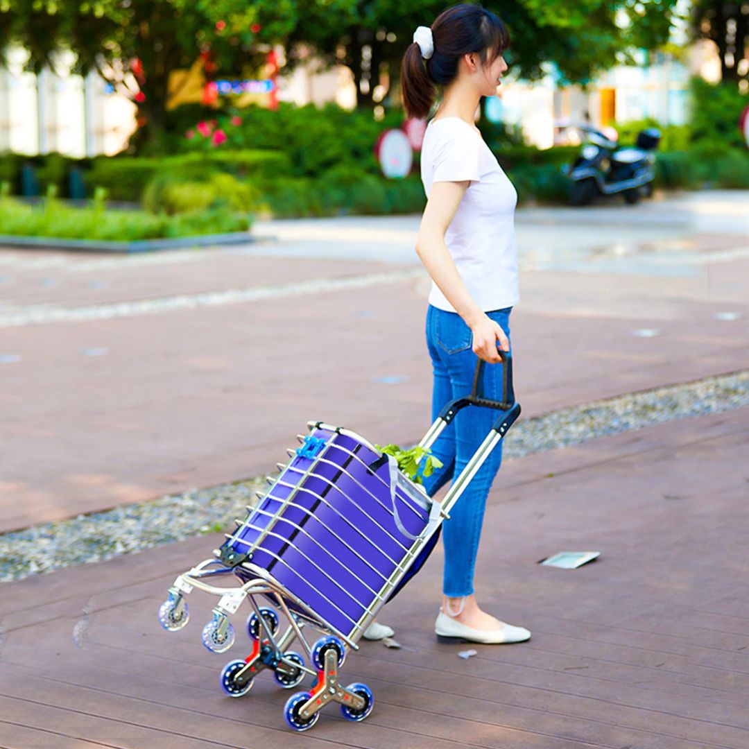 Shopping Cart with-Stair Climbing Wheels product thumbnail 4