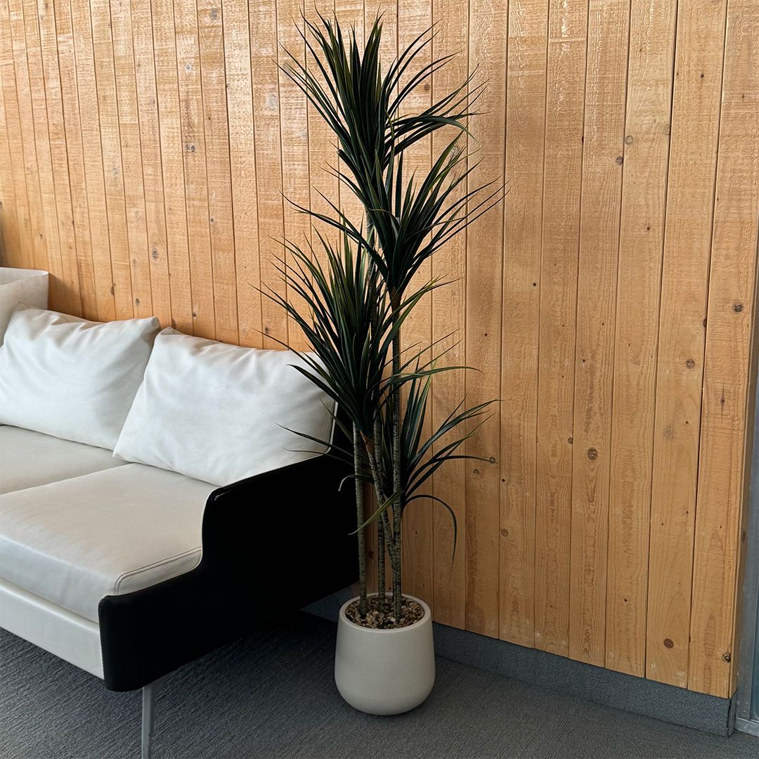 Artificial Dracaena tree
