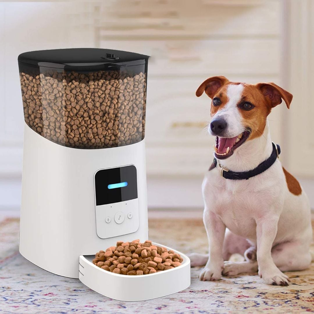Smart Pet Feeder  - 14