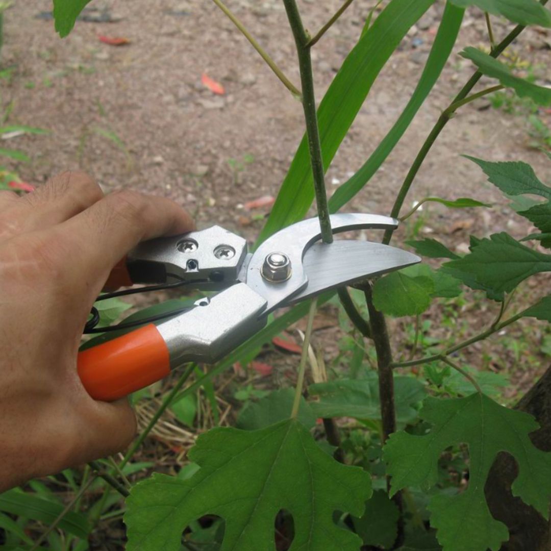 Garden Tool Set product thumbnail 6