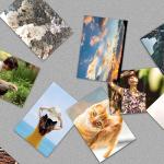 طابعة صور فورية محمولة - 27