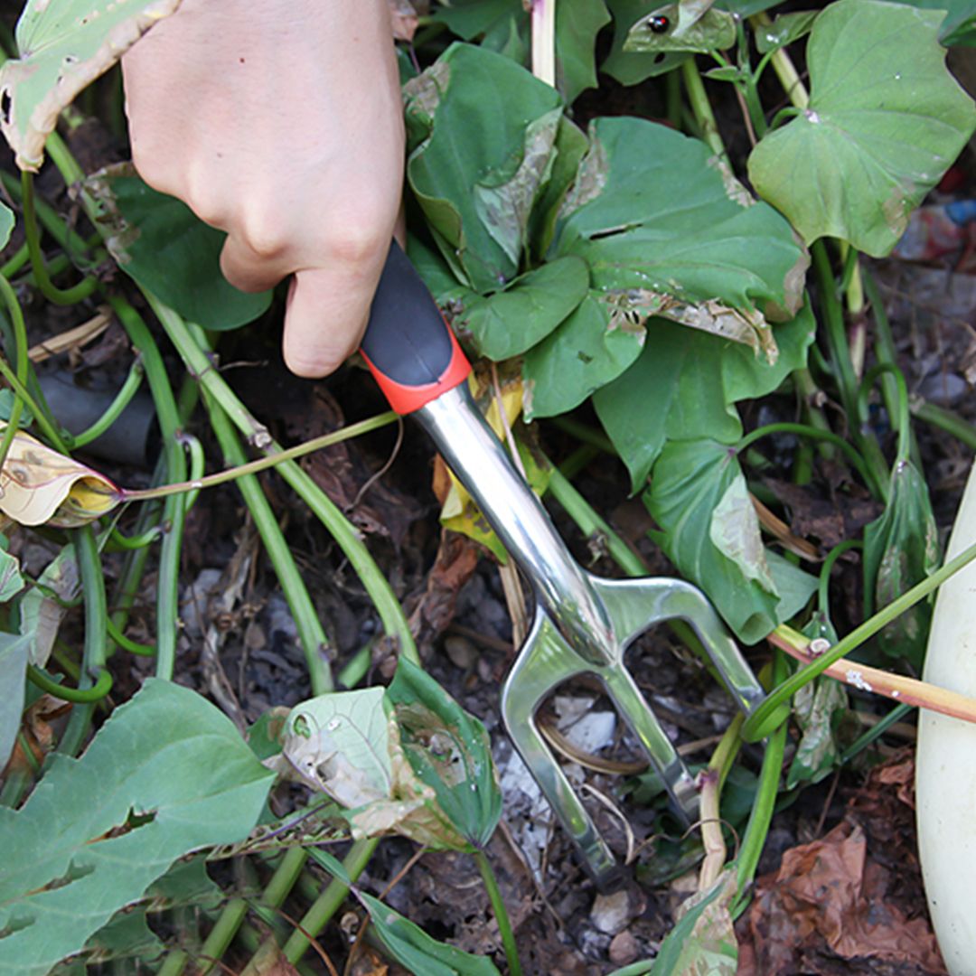 Garden Tool Set product thumbnail 9