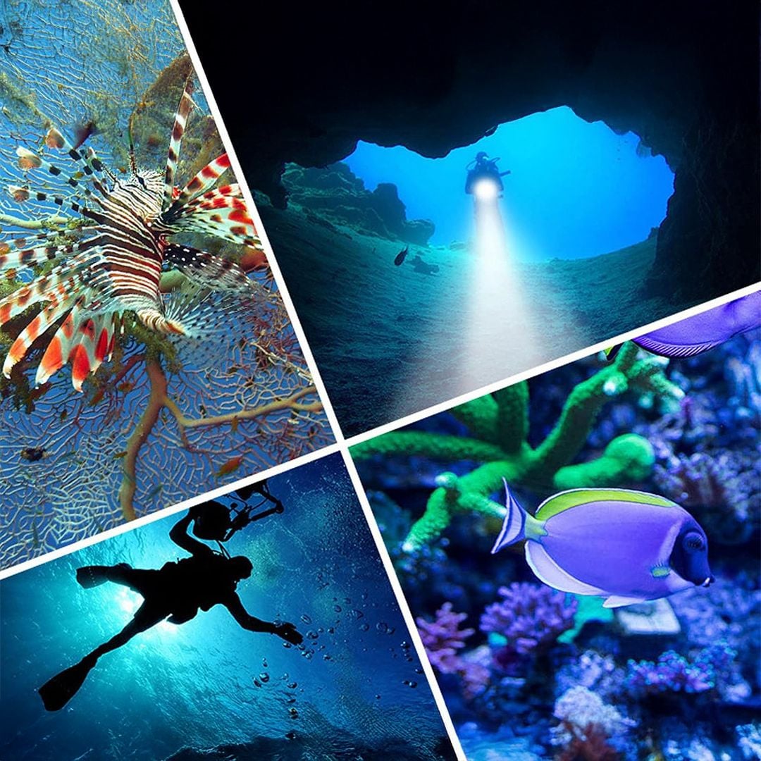 كشـاف الغوص - 8