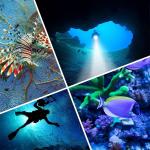 كشـاف الغوص - 8