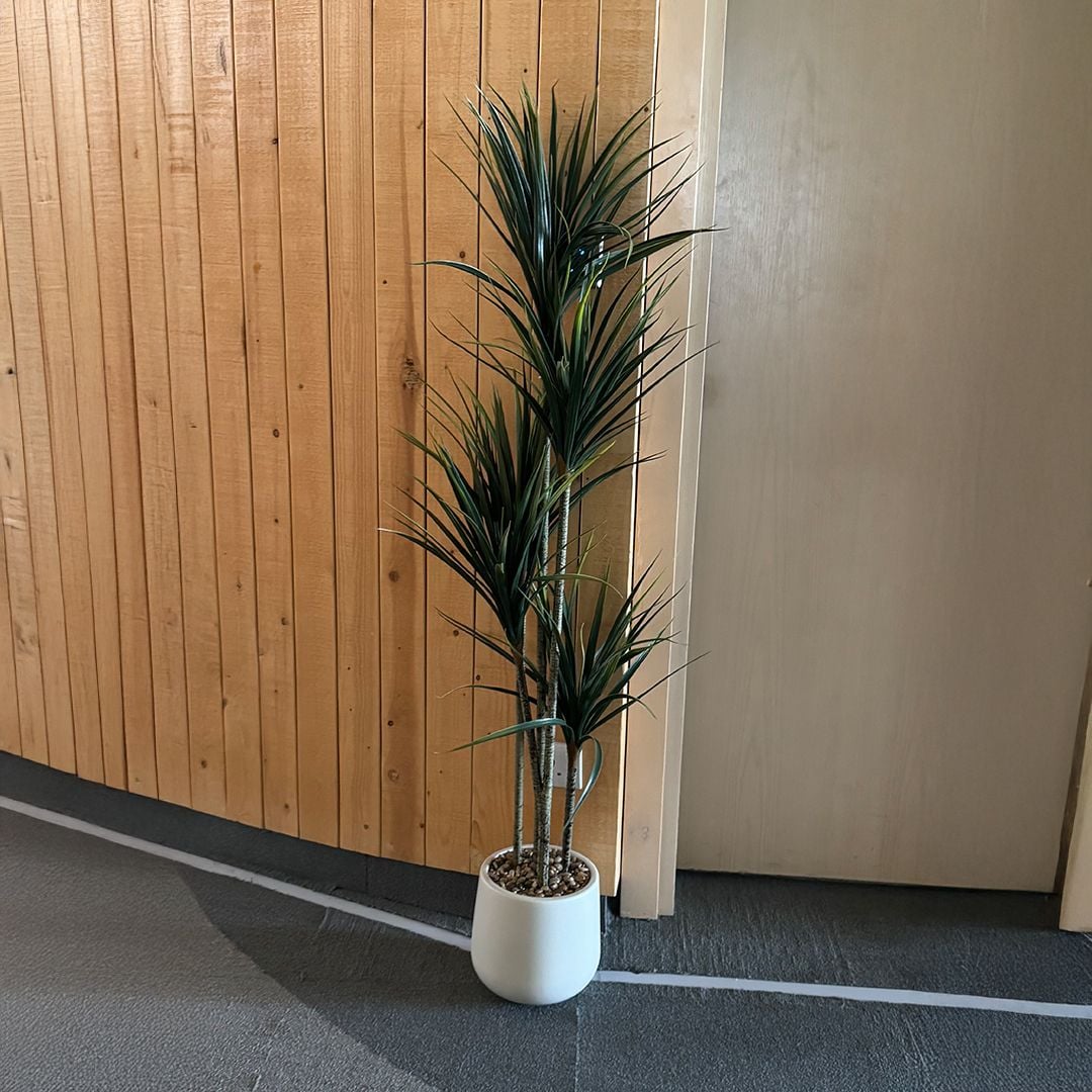 Artificial Dracaena tree product thumbnail 12