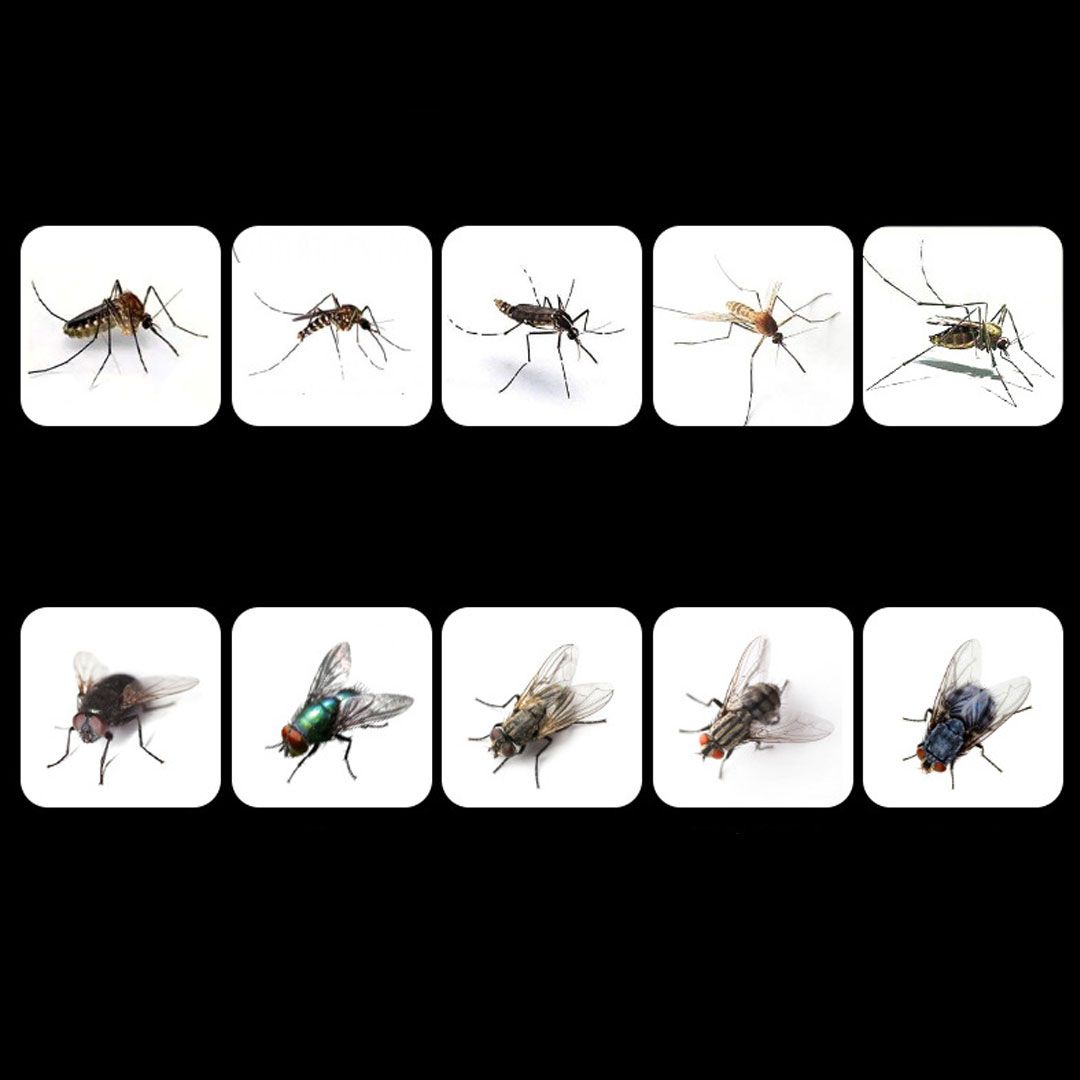 Two In One USB Shock Mosquito Lamp product thumbnail 4