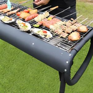 باربيكيو و منقل للنزهات - 4