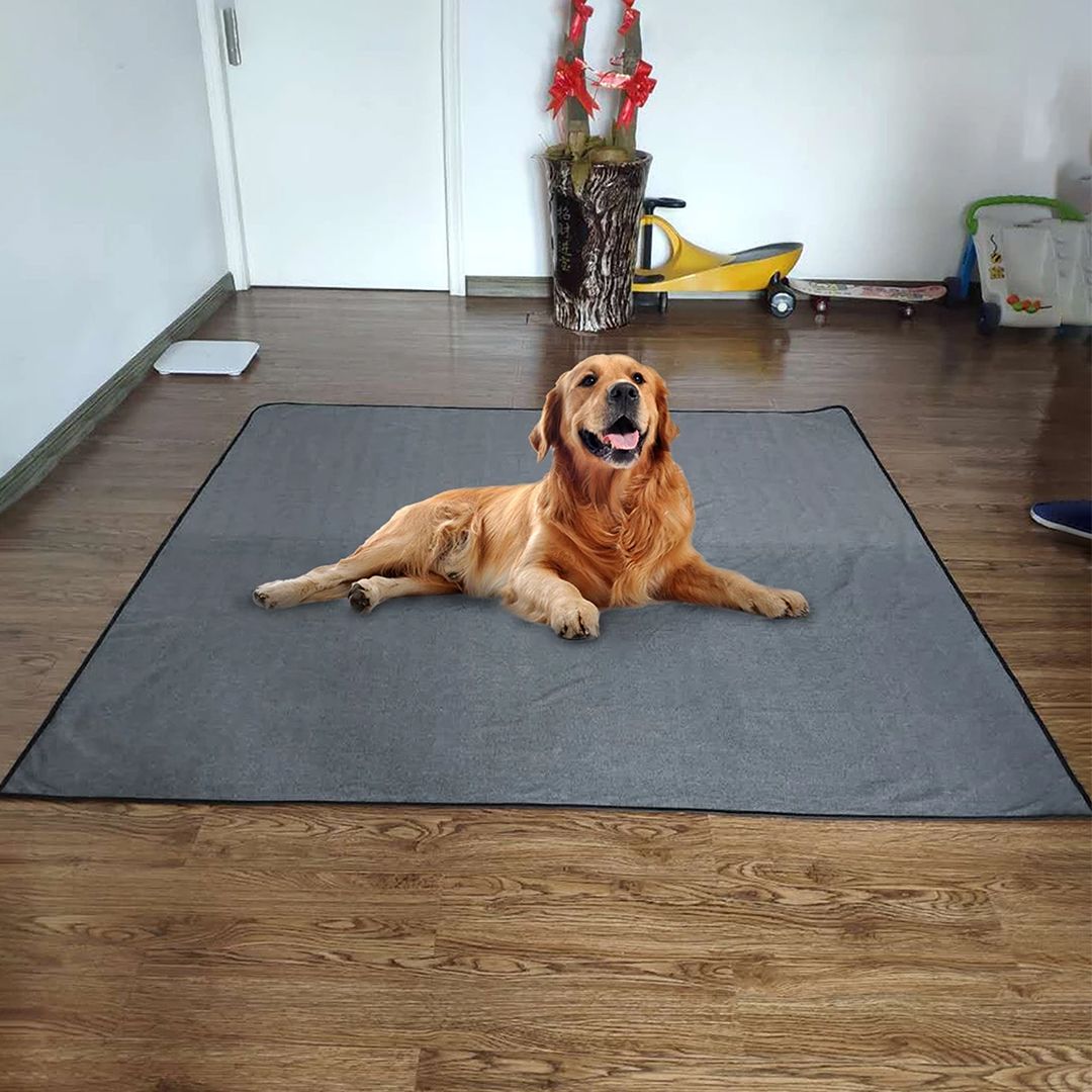 Pet Blanket