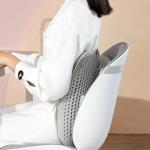Back Cushion with Breathable Mesh - 4