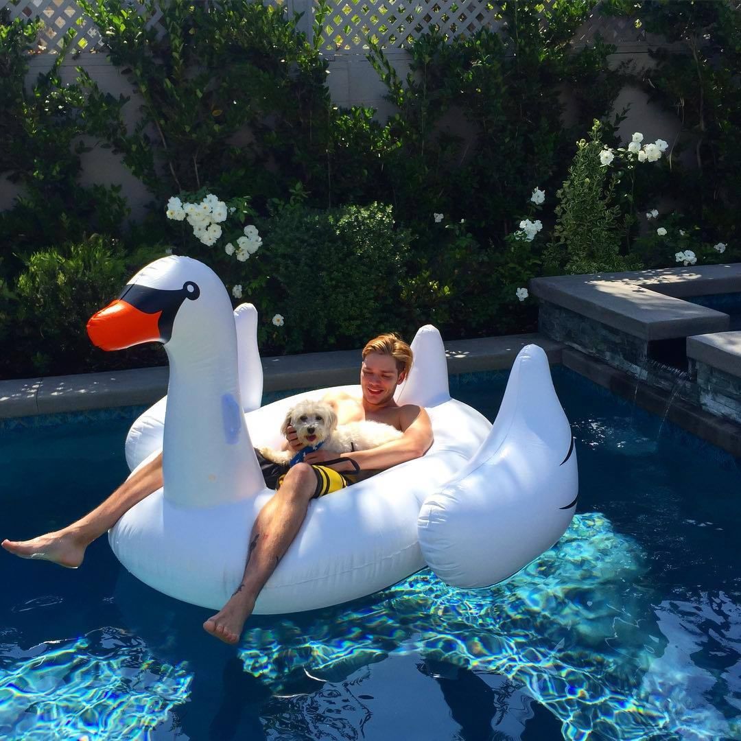 Swan Floating Pool Swimming Ring product thumbnail 16