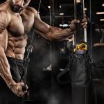 حقيبة جيم مغناطيسية - 20