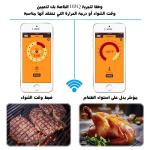 Wireless Cooking Thermometer - 24