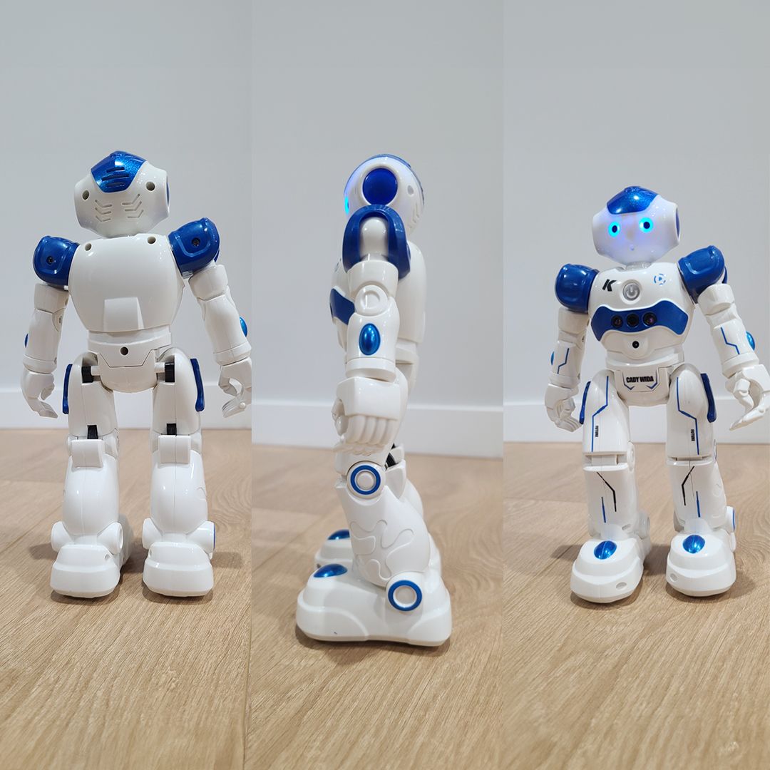 روبوت ذكي تفاعلي مع امكانية التحكم عن بُعد - 11