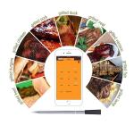 Wireless Cooking Thermometer - 27