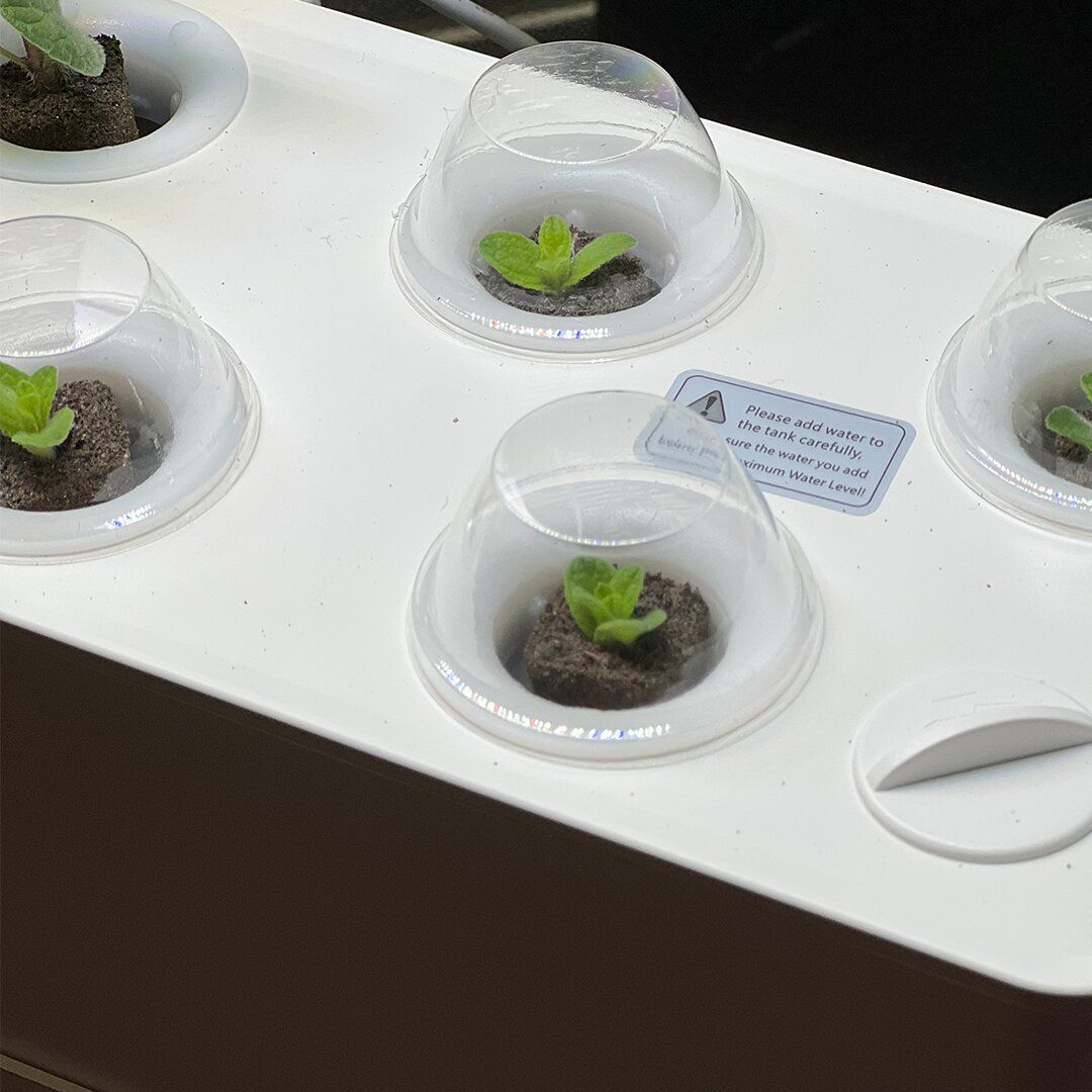 Hydroponics Pond product thumbnail 8