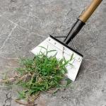 مجرفة تنظيف الحدائق