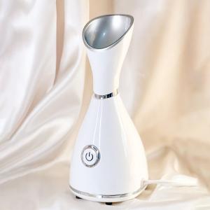 Facial Steamer - 3