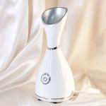 Facial Steamer - 2