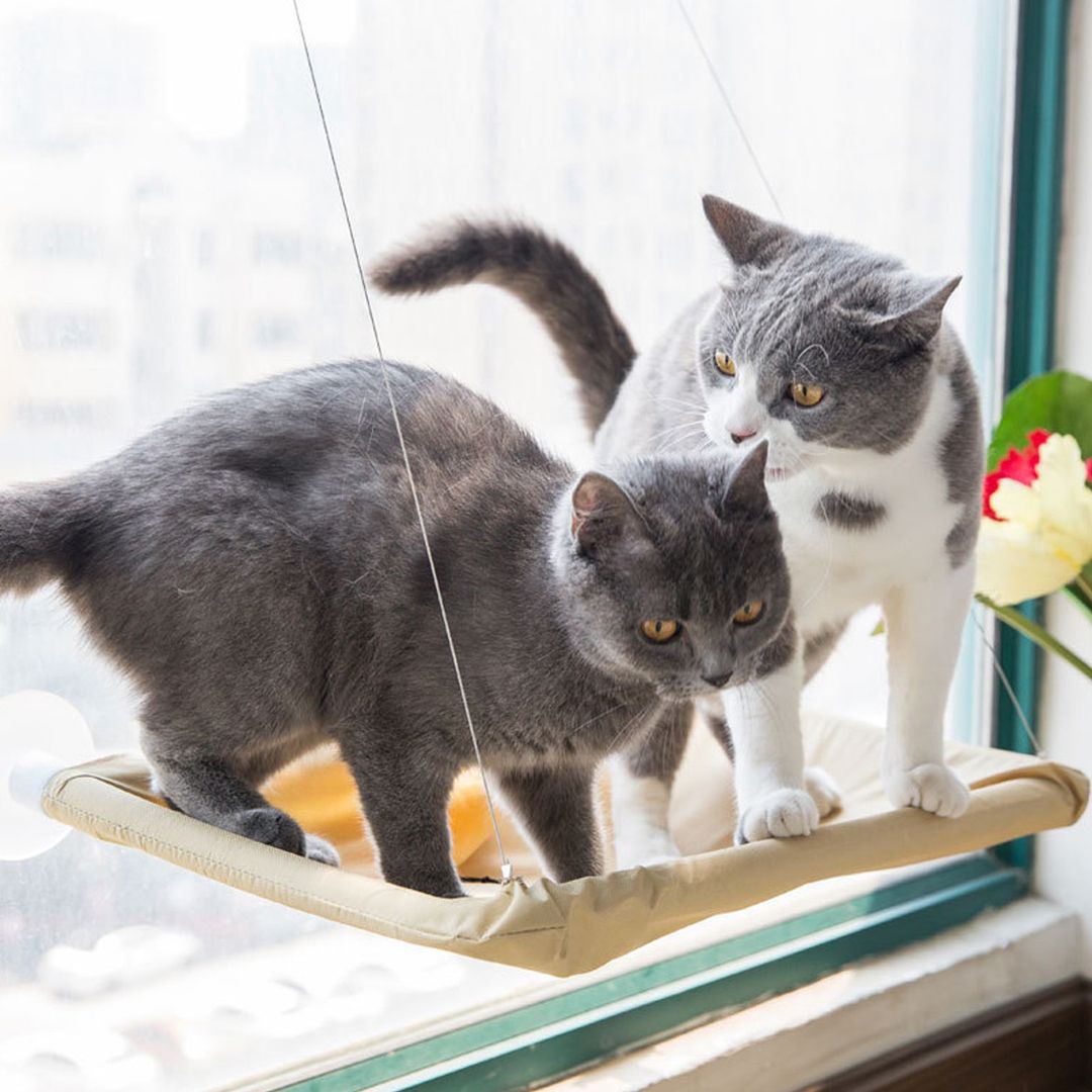Hammock and Bed For Pets product thumbnail 5