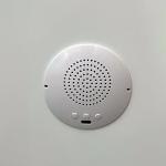  تمثال ديكور آنجل وينغز مع بلوتوث  - 9