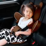 Child Car Seat with Safety Belt - 9