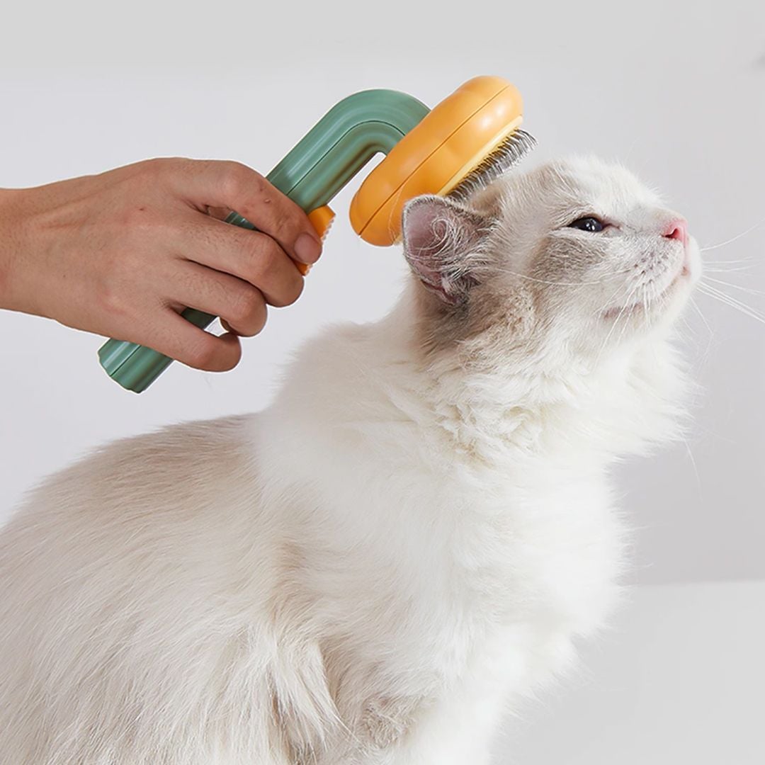 Pet Hair Remover Brush product thumbnail 4