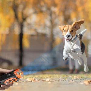 جهاز ترويض الكلاب بالموجات فوق الصوتية وكشاف مدمج - 4