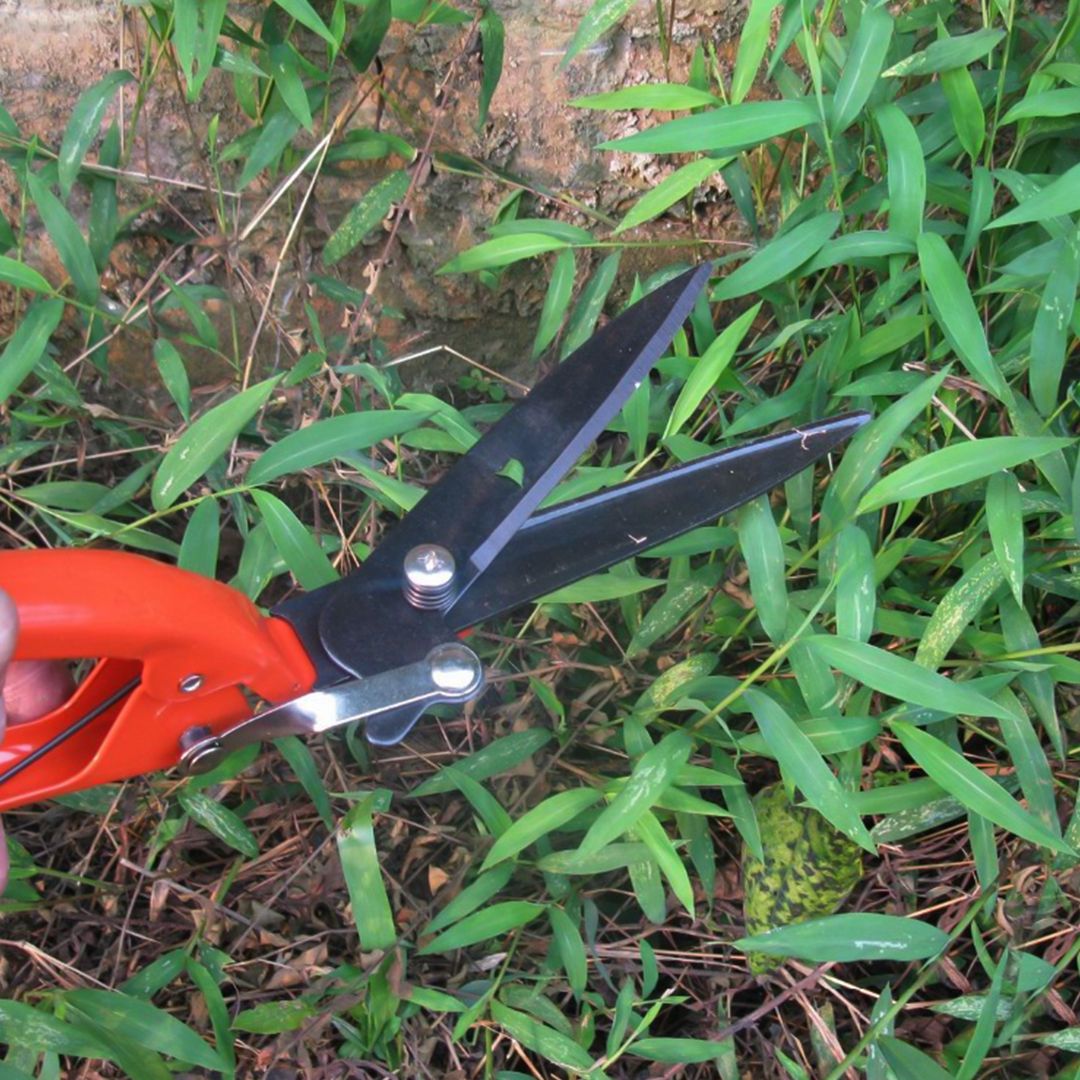 Garden Tool Set product thumbnail 16