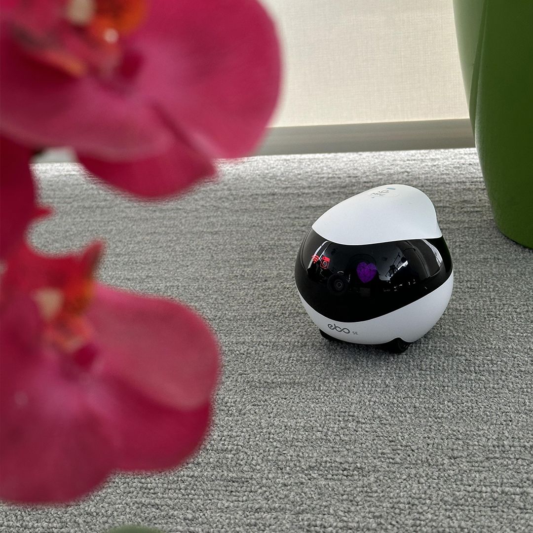 EBO Intelligent Surveillance Robot product thumbnail 12