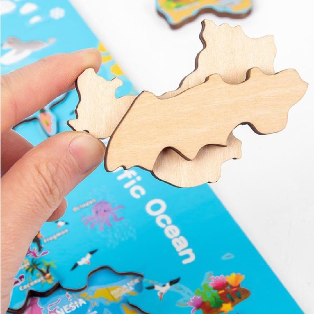 Magnetic World Map product thumbnail 5