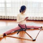 Bar Leg Extension Exercises - 11