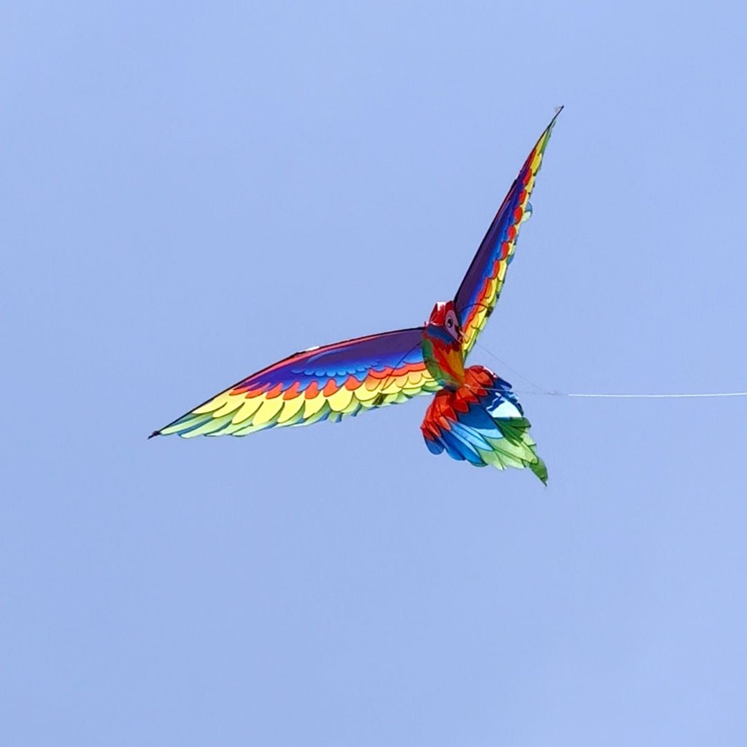Parrot Kite product thumbnail 14