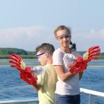 ذراع ايرون مان لإطلاق كرات الماء