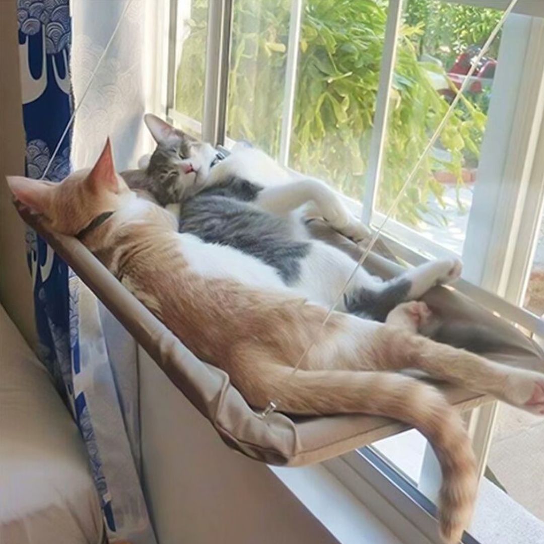 Hammock and Bed For Pets product thumbnail 12