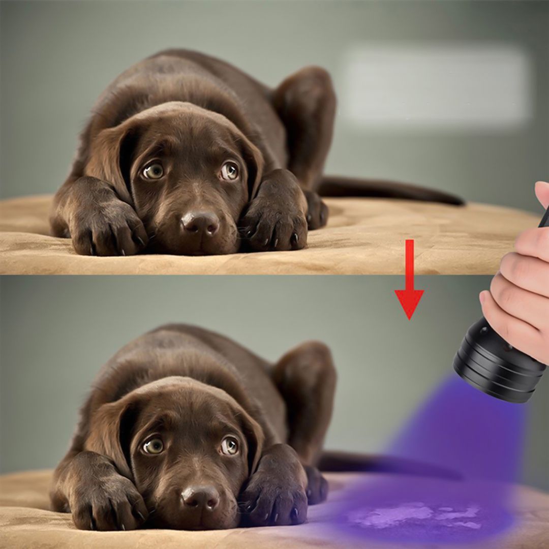 Portable UV Flashlight product thumbnail 10