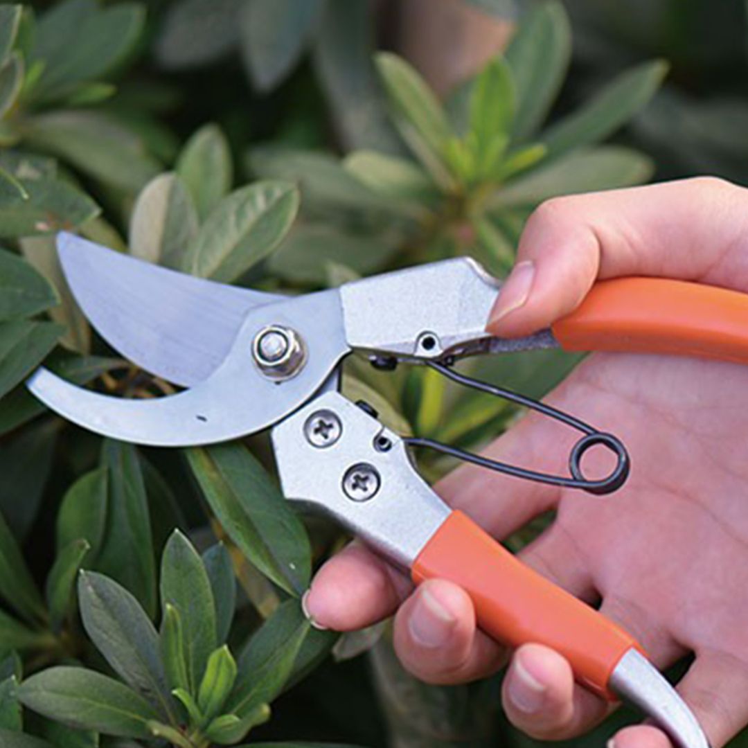 Garden Tool Set product thumbnail 8