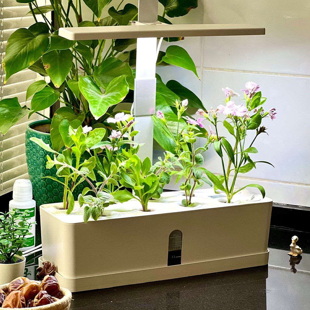 Hydroponics Pond product thumbnail 3