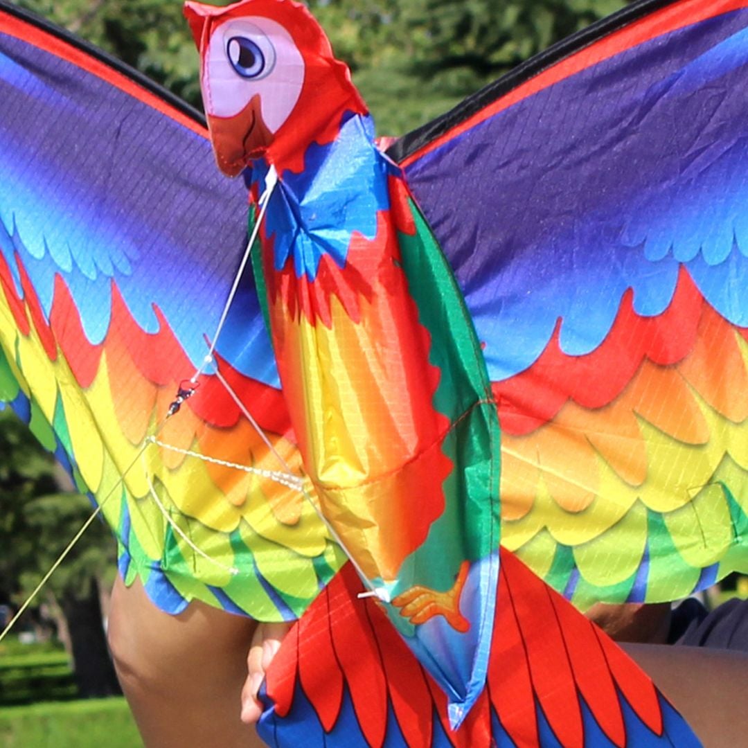 Parrot Kite product thumbnail 6