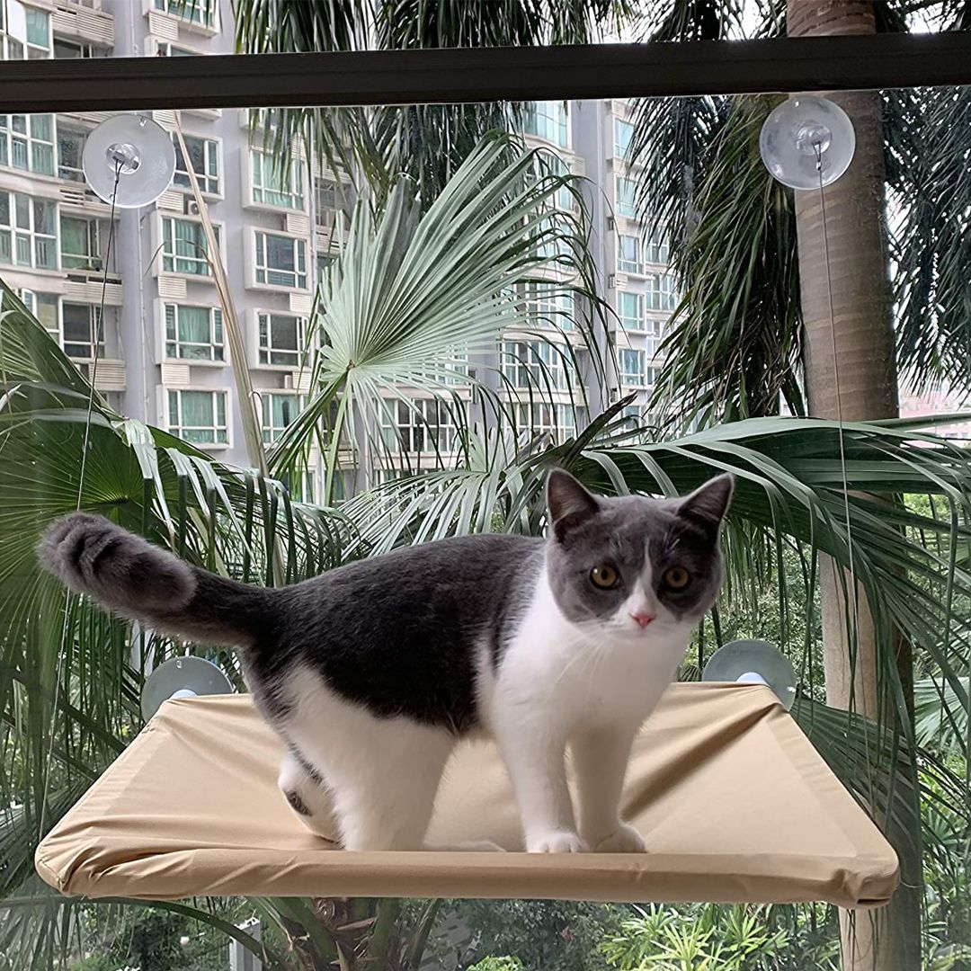 Hammock and Bed For Pets product thumbnail 2