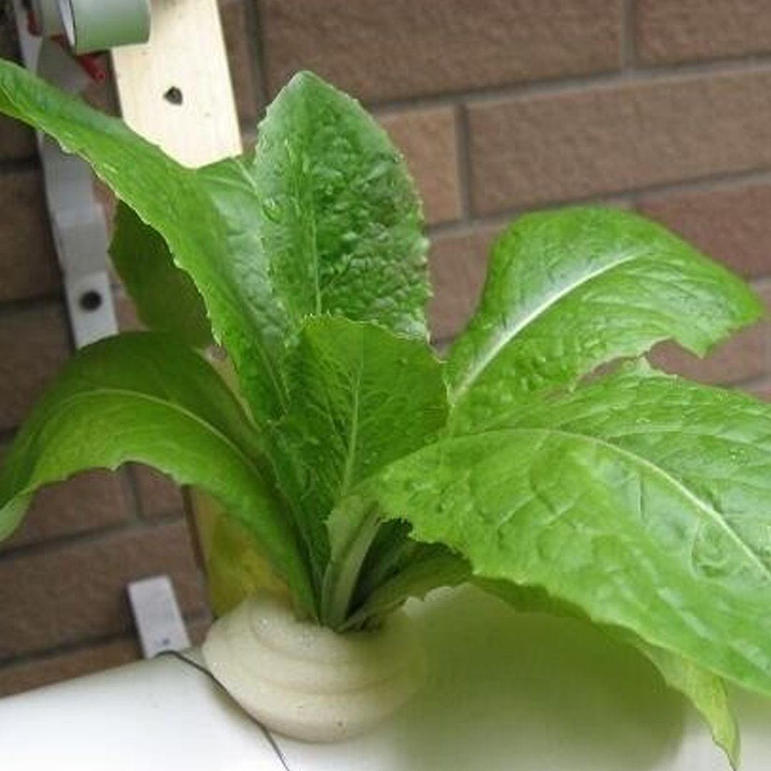 Automatic Water Planting Machine product thumbnail 3