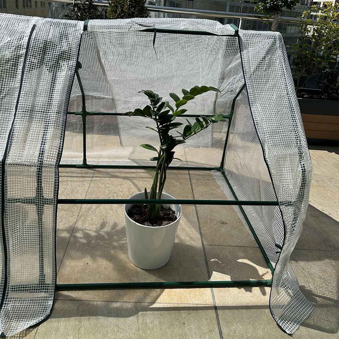 Plastic Grow House with Zipper Doors product thumbnail 8